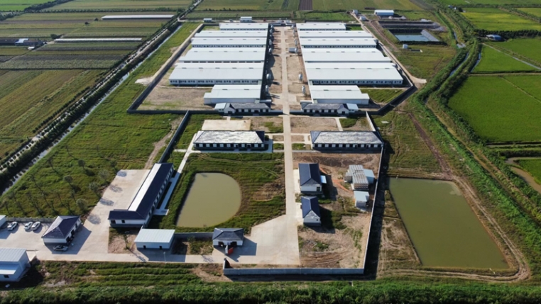 湖北4800頭母豬場交工驗收