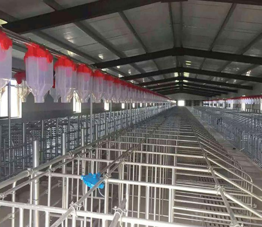 豬場(chǎng)全自動(dòng)供料塞片料線(xiàn)