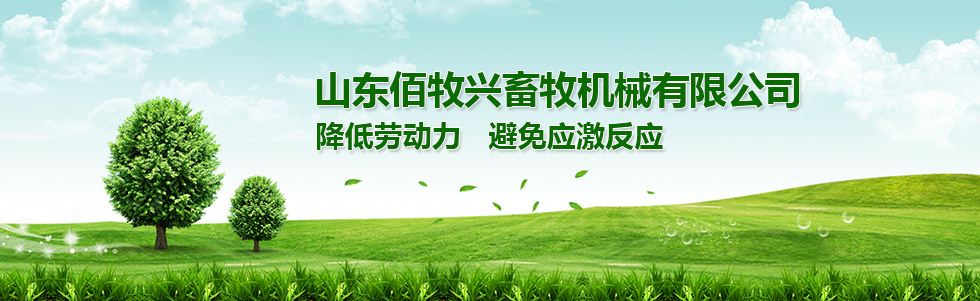 豬場自動化料線 豬場自動化料線