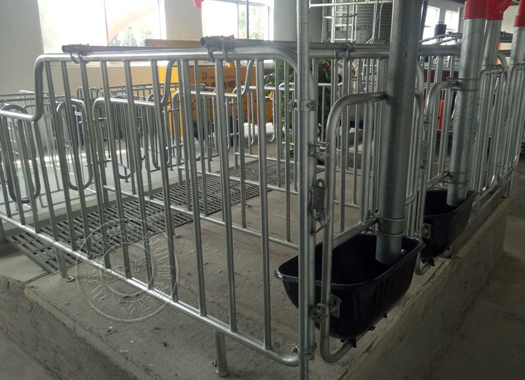 母豬限位欄 母豬限位欄