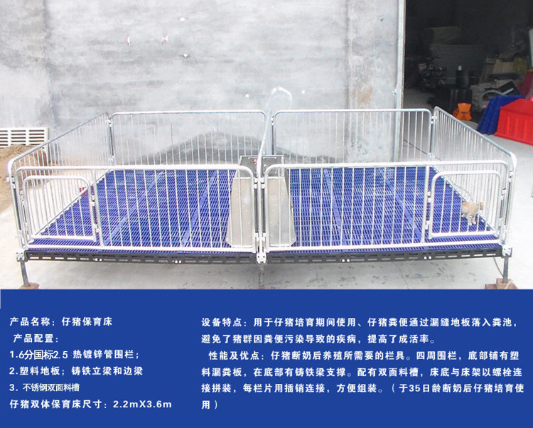 山東佰牧興國標2.5雙體保育床 