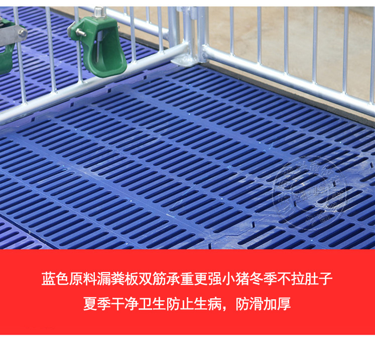 山東佰牧興國標2.5雙體保育床 