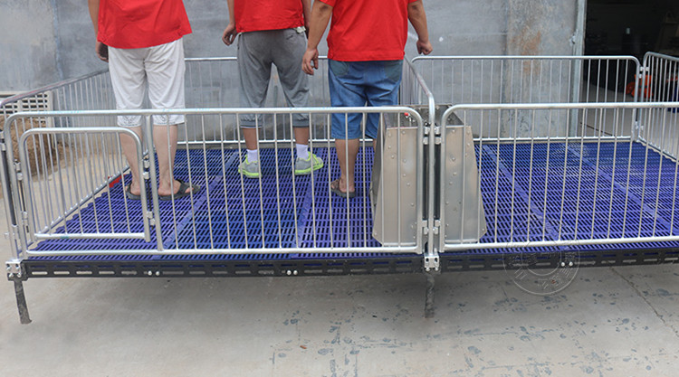 山東佰牧興國標2.5雙體保育床 