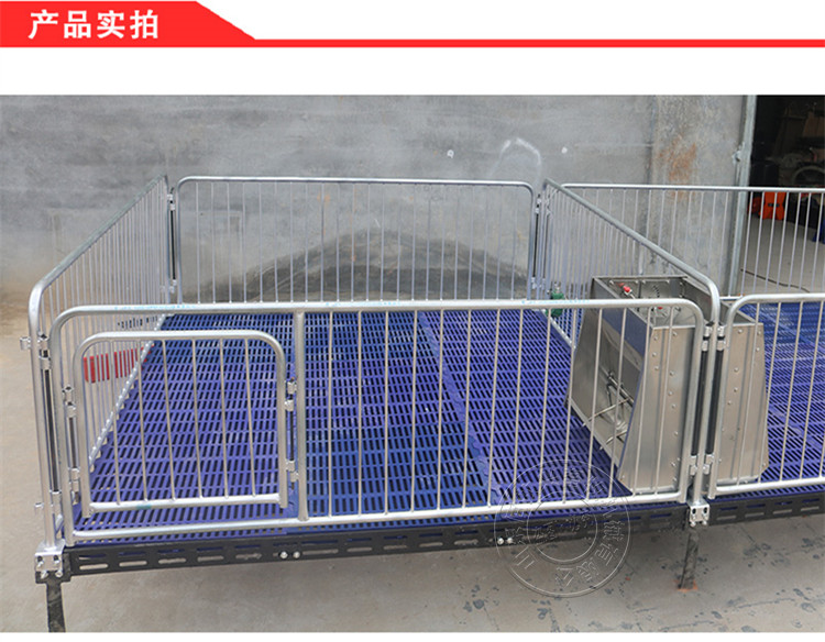 山東佰牧興國標2.5雙體保育床 