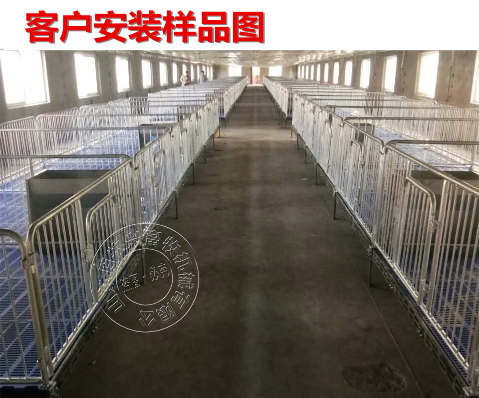 山東佰牧興國標2.5雙體保育床 