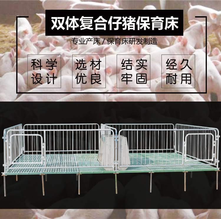 山東佰牧興雙體復(fù)合仔豬保育床 山東佰牧興雙體復(fù)合仔豬保育床