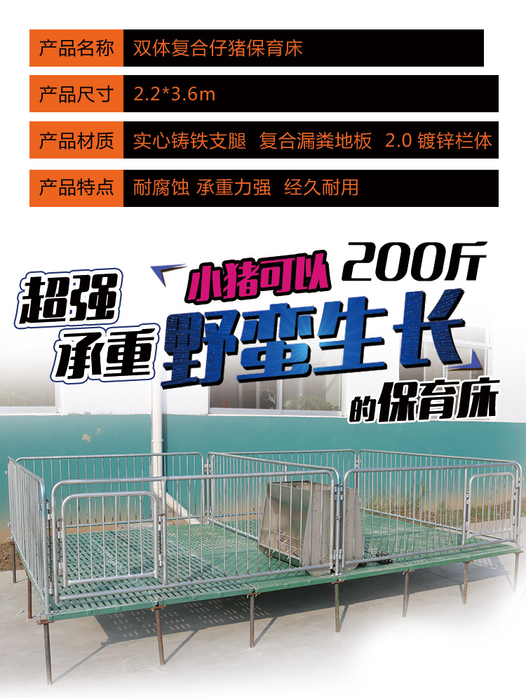 山東佰牧興雙體復(fù)合仔豬保育床 山東佰牧興雙體復(fù)合仔豬保育床