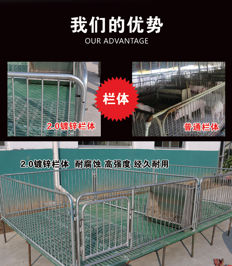 山東佰牧興雙體復(fù)合仔豬保育床 山東佰牧興雙體復(fù)合仔豬保育床