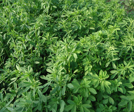 1532072504322931.png QQ截圖20180720153726.png