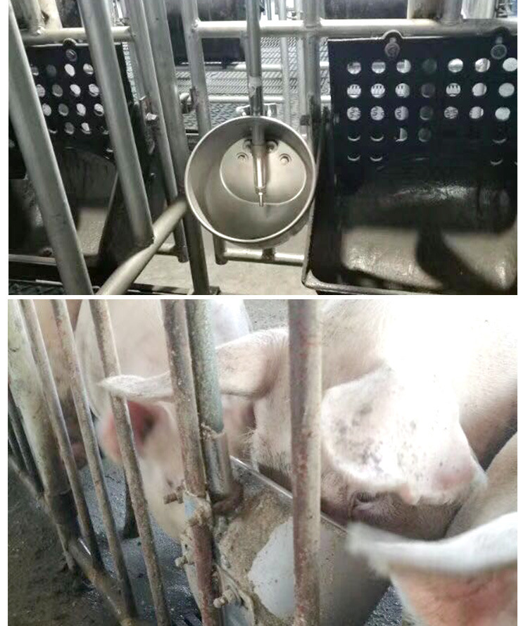 佰牧興不銹鋼豬用飲水碗 佰牧興不銹鋼豬用飲水碗