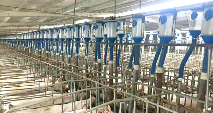 佰牧興自動化上料系統(tǒng)