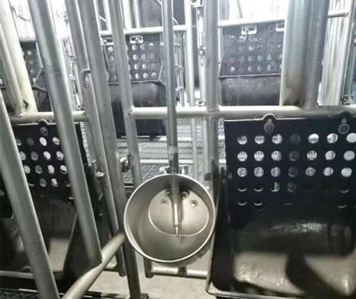 佰牧興自動喂豬設(shè)備環(huán)保水碗 佰牧興自動喂豬設(shè)備環(huán)保水碗