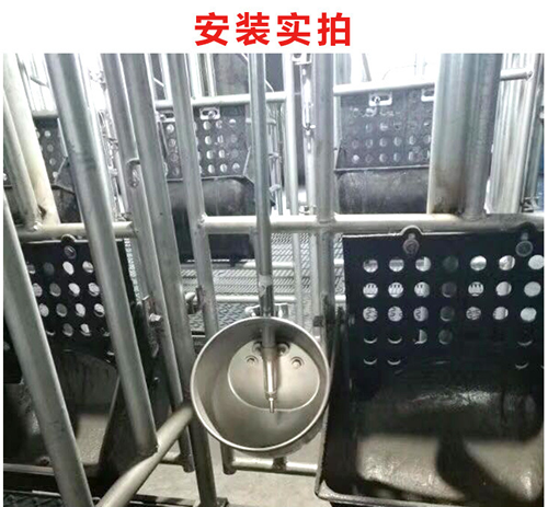 豬用自動飲水器 豬用自動飲水器