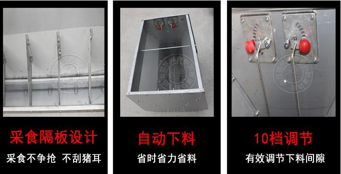 自由采食槽 自由采食槽