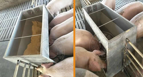 不銹鋼豬料槽 不銹鋼豬料槽
