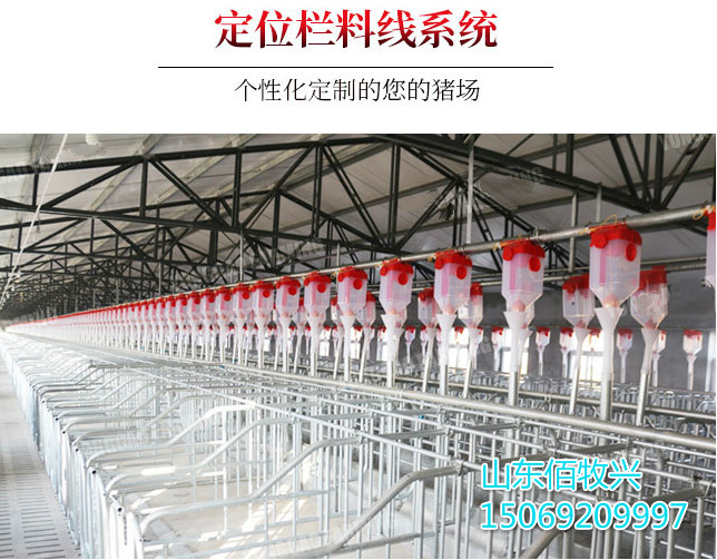 自動化料線 自動化料線