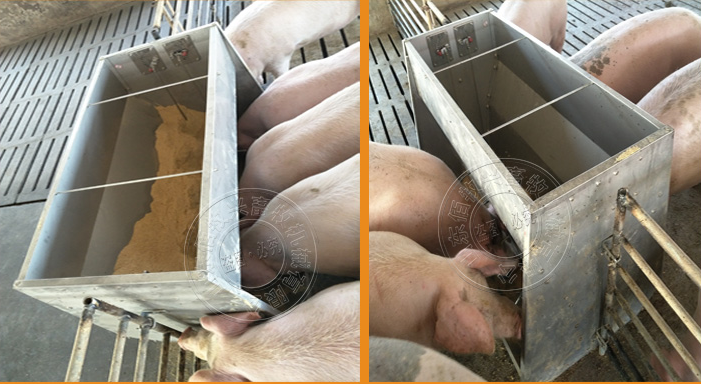 不銹鋼豬用料槽 不銹鋼豬用料槽