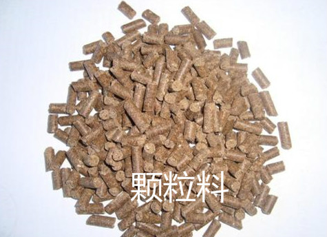 豬食槽 豬飼料 豬食槽 豬飼料