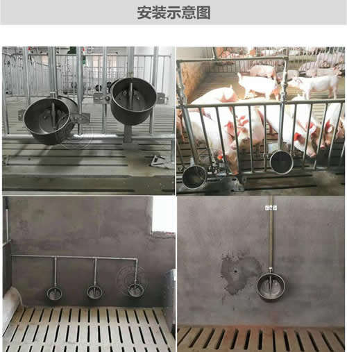 豬用不銹鋼環(huán)保水碗 豬用不銹鋼環(huán)保水碗