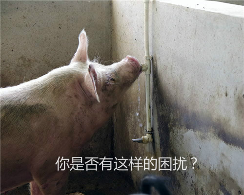 水嘴飲水器 水嘴飲水器