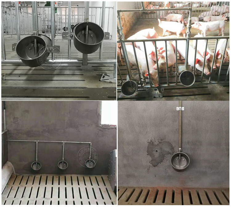 不銹鋼環(huán)保水碗 不銹鋼環(huán)保水碗