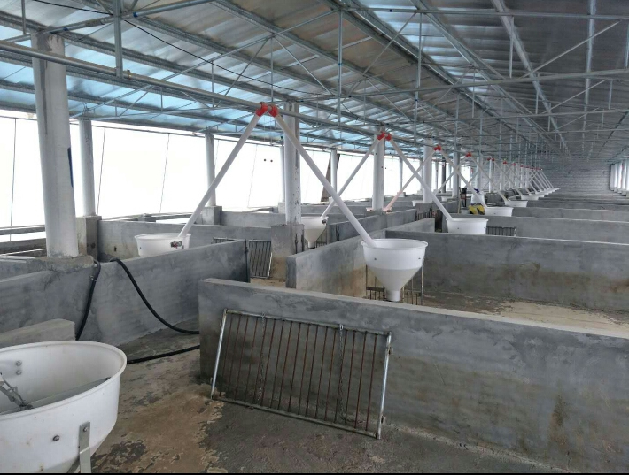 桶式自動食槽 桶式自動食槽