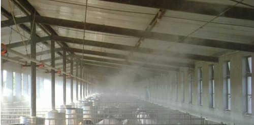 豬場消毒 豬場消毒