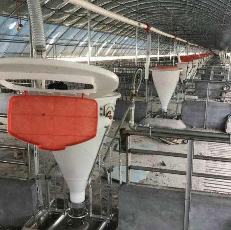 桶式自動食槽 桶式自動食槽