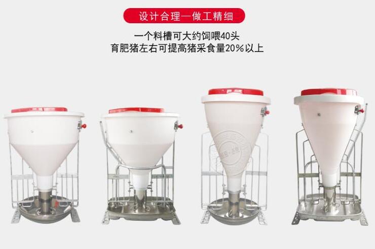 桶式自動采食槽 桶式自動采食槽