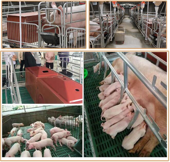 養(yǎng)豬場設(shè)備 養(yǎng)豬場設(shè)備