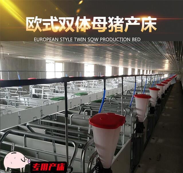 母豬產(chǎn)床 母豬產(chǎn)床