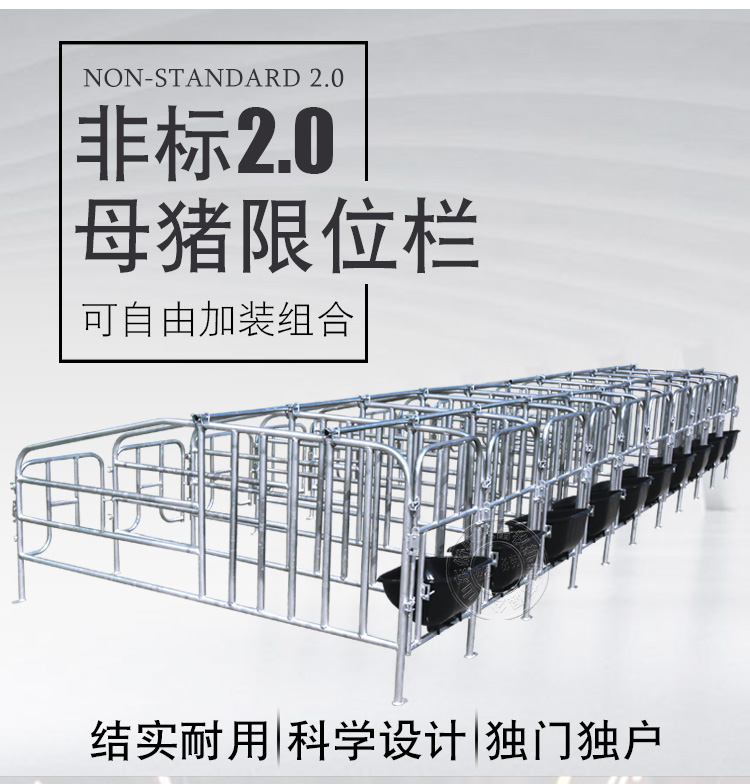 母豬限位欄 母豬限位欄