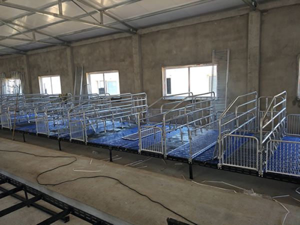 母豬產(chǎn)床 母豬產(chǎn)床