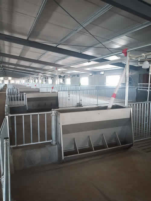 育肥豬料槽 育肥豬料槽