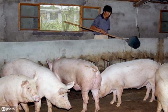 1570758151528705.jpg 1570758151528705.jpg