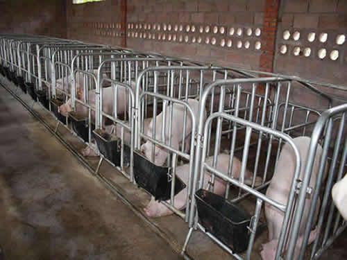 1576033493212473.jpg timg.jpg