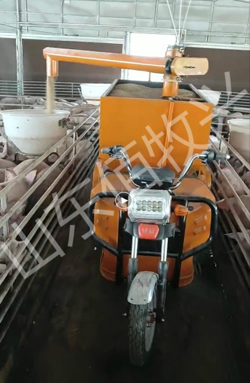 1576563850601236.jpg 1576563850601236.jpg