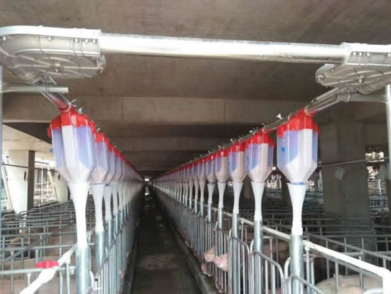 豬場自動化料線 豬場自動化料線