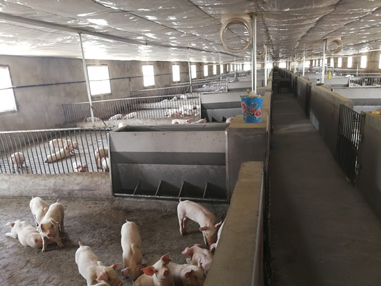 不銹鋼料槽 不銹鋼料槽