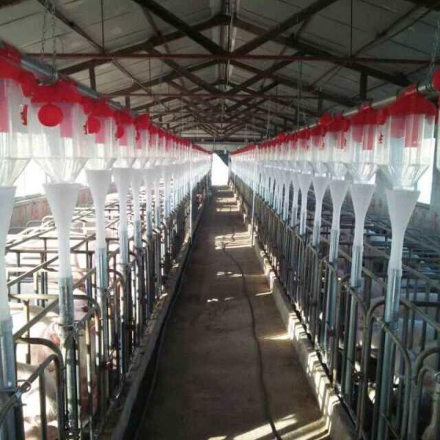 豬場自動化料線 豬場自動化料線