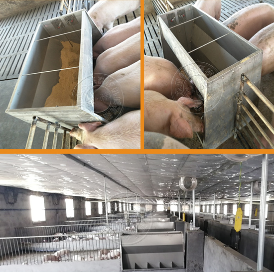 不銹鋼育肥豬食槽 不銹鋼育肥豬食槽