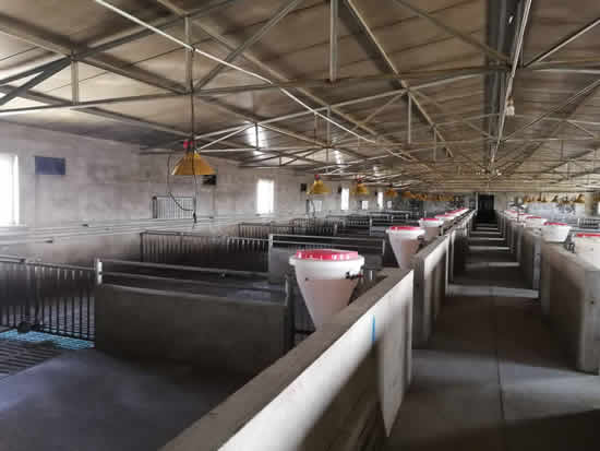 圓桶豬食槽 圓桶豬食槽