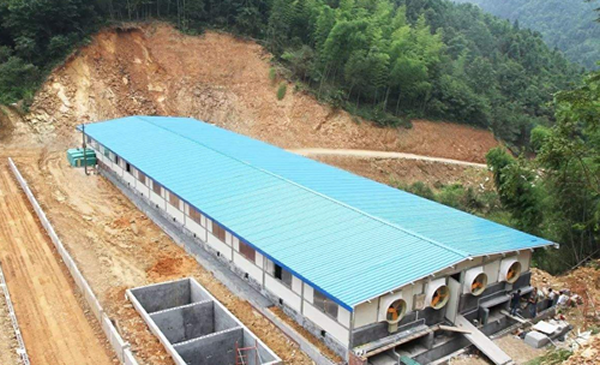 1589848529205471.png 新建豬舍.png