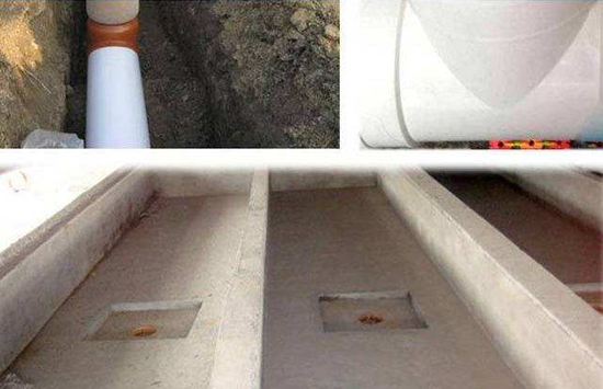 1589848555703739.png 水泡糞2.png