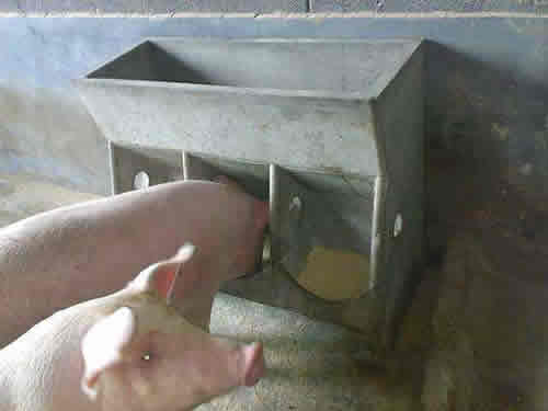 1589942432495983.jpg timg.jpg