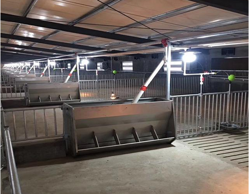 料槽豬場安裝 料槽豬場安裝