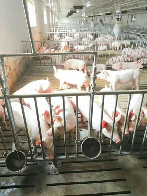 1593077419964480.jpg 1593077419964480.jpg