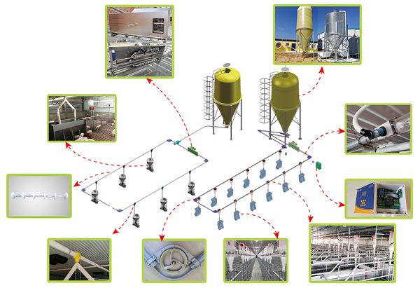 豬場自動化料線 豬場自動化料線