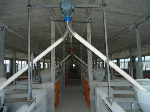 肥豬舍絞龍料線安裝 肥豬舍絞龍料線安裝