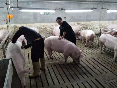 1608622725893869.jpg 0.jpg